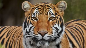 seo-img-1763582508-3eb6caadd61523d5